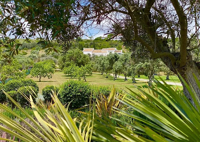 Valverde Design Country