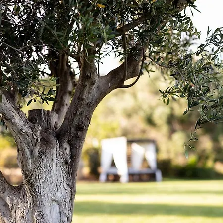 Hotel Valverde Design Country